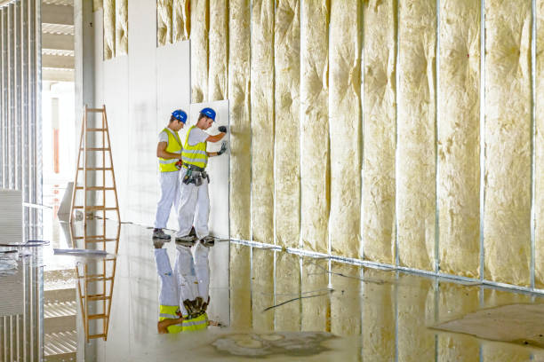 Best Geographic-Specific Insulation Services in Rio Communities, NM